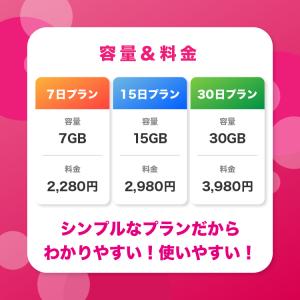 15日プラン プリペイドSIMカード 2週間 ...の詳細画像3