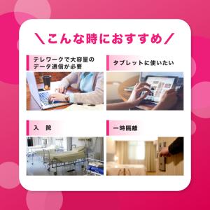 15日プラン プリペイドSIMカード 2週間 ...の詳細画像5