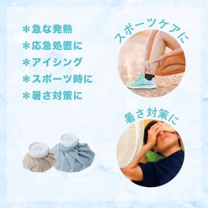 凍結 氷嚢 アイスバッグ アイシング 氷のう【...の詳細画像2