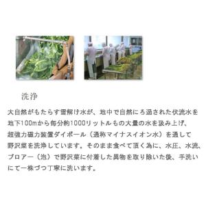 野沢菜 野沢菜茶漬(袋) 700g (350g...の詳細画像3