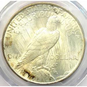 1923年ピース銀貨($1) - PCGS M...の詳細画像3
