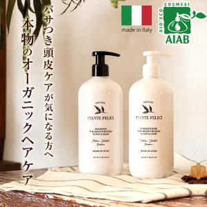 ブローネ ナチュリラ 色長持ちカラートリートメント ブラック つけかえ