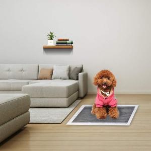 ペットシーツ　犬用　ゆうパケット送料無料　10枚入｜glow-japan