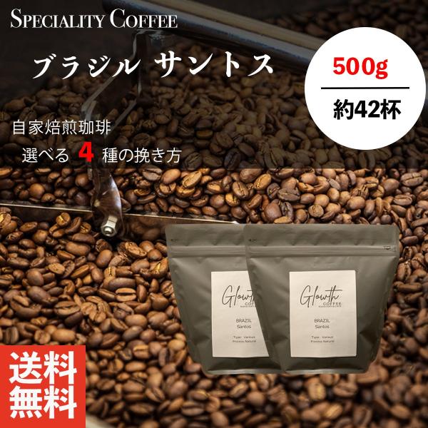 コーヒー豆 ブラジル ハインニャ 高品質 400g  粉 送料無料 コーヒー  福袋 40杯分