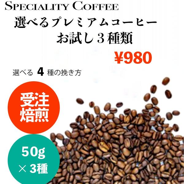 選べる 50g×3種類 セットお試し コーヒー豆  モカコーヒー  珈琲 シングルオリジン 高品質 ...