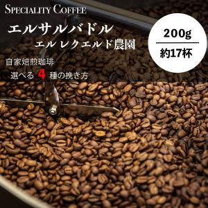 エルサルバドル スペシャルティー COE受賞 ブルボン レッドハニー フルーティー 送料無料 コーヒー専門店 単一お試し コーヒー豆 珈琲 シングルオリジン 200g｜glowth-coffee2