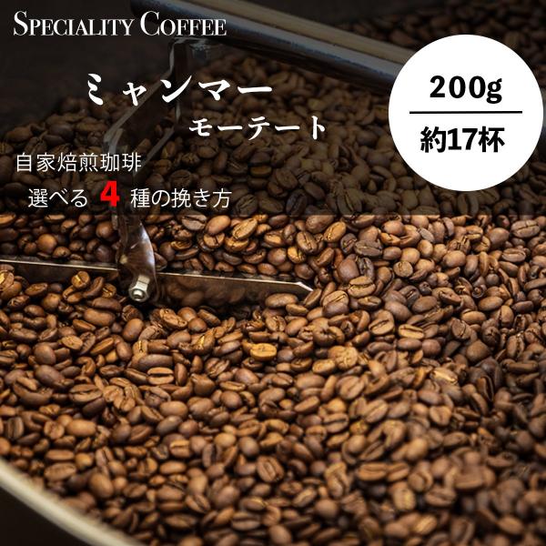 ミャンマー モーテート農園 シングルオリジン 単一銘柄100％ コーヒー フルーティー 酸っぱくない...