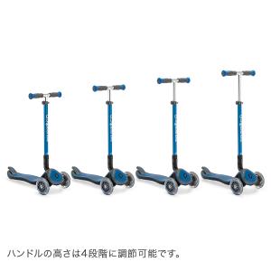 月末月初ポイント増量中 【並行輸入品】 グロッ...の詳細画像4