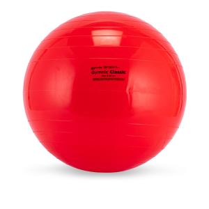 【並行輸入品】 バランスボール ギムニク Gy...の詳細画像1