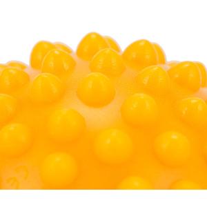 【並行輸入品】 ギムニク 触覚ボール 10 G...の詳細画像5
