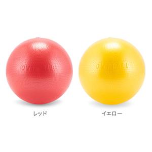 【並行輸入品】 バランスボール ギムニク Gy...の詳細画像1