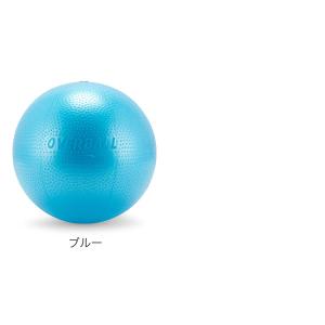 【並行輸入品】 バランスボール ギムニク Gy...の詳細画像2