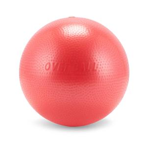【並行輸入品】 バランスボール ギムニク Gy...の詳細画像3