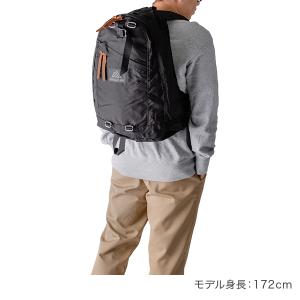 【並行輸入品】 グレゴリー リュック デイパッ...の詳細画像2