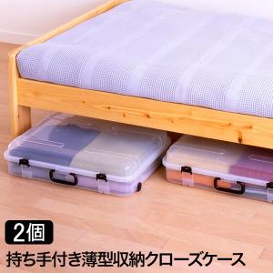 持ち手付き薄型収納クローズケース(2個組) 衣装...の商品画像