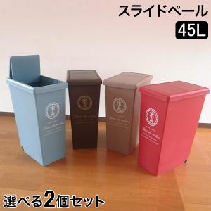 ゴミ箱 2個セット スライドペール45L キッチン リビング ふた付き ダストボックス おしゃれ 平和工業