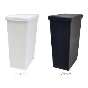 ゴミ箱 スライドペール45L キッチン リビン...の詳細画像1