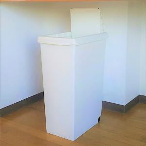 ゴミ箱 スライドペール45L キッチン リビン...の詳細画像4