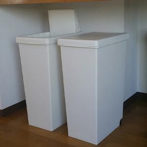 ゴミ箱 スライドペール45L キッチン リビン...の詳細画像5