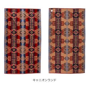 在庫限り ペンドルトン PENDLETON タ...の詳細画像2