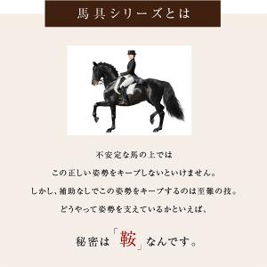 馬具マットプレミアムアドバンス 座椅子 腰もお...の詳細画像2