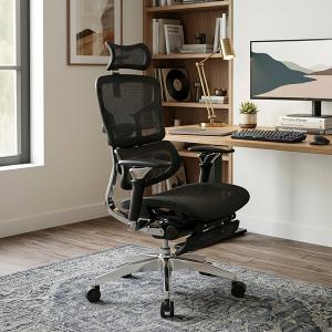 Rasical Chair Elite ラシカ...の詳細画像1