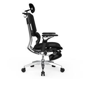 Rasical Chair Elite ラシカ...の詳細画像3