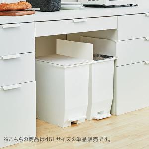 ソロウ SOLOW ゴミ箱 ごみ箱 ダストボッ...の詳細画像1