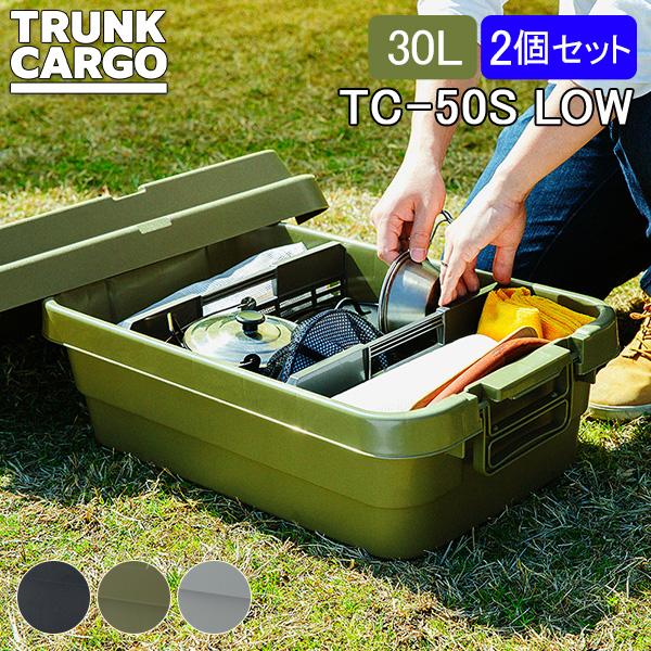 トランクカーゴ RISU 収納ボックス 2個セット 収納ケース スタッキングタイプ ロータイプ アウ...