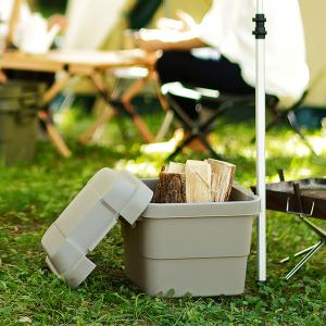 トランクカーゴ RISU 収納ボックス 収納ケ...の詳細画像1