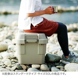 トランクカーゴ RISU 収納ボックス 収納ケ...の詳細画像4