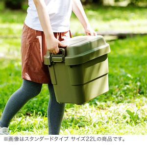 トランクカーゴ RISU 収納ボックス 収納ケ...の詳細画像5