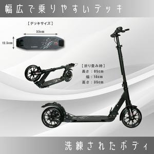S.DarWin キックボード キックスクータ...の詳細画像2