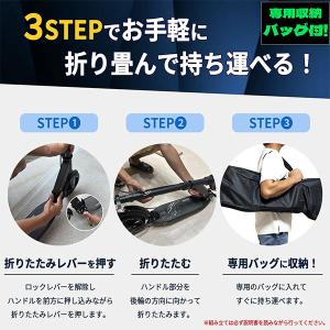 S.DarWin キックボード キックスクータ...の詳細画像5