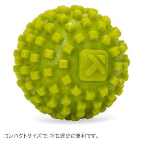 【並行輸入品】 トリガーポイント Trigge...の詳細画像1