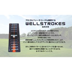 【並行輸入品】 ウェルパット Wellputt...の詳細画像2