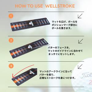 【並行輸入品】 ウェルパット Wellputt...の詳細画像3