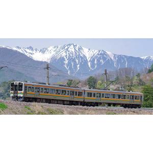 グリーンマックス 30534 E653系(フレッシュひたち・オレンジ) 4両 30534.jpg