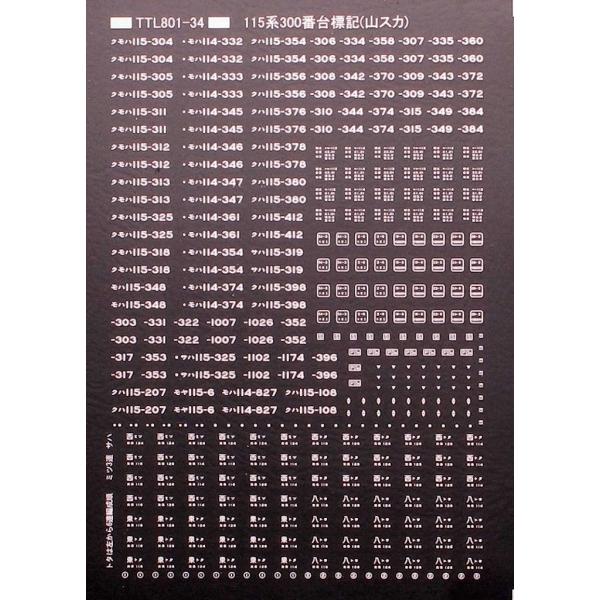 トレジャータウン TTL801-34 115系300番台標記　白