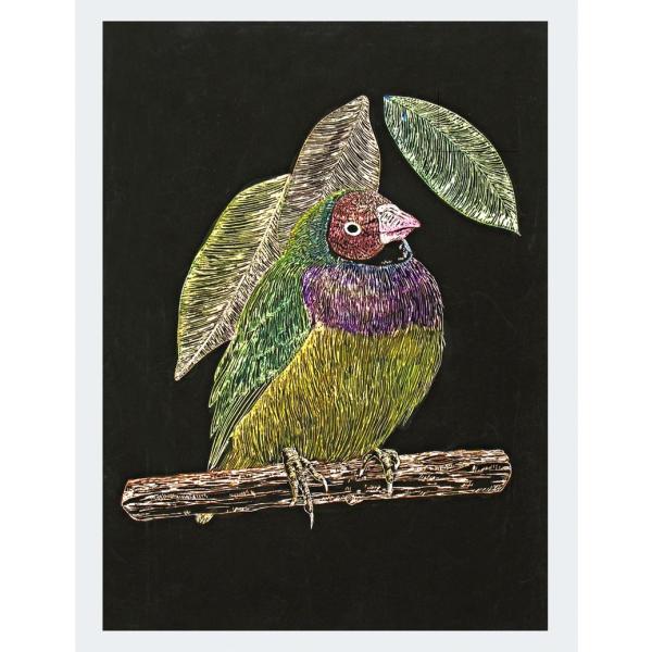 スクラッチボードEX スクレーパー 美術 画材 美術 画材 書道