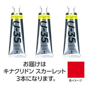 ターナー U35 キナクリドンスカーレット60m...の商品画像