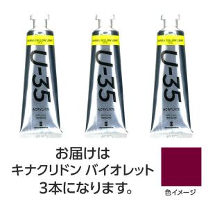 ターナー U35 キナクリドンバイオレット60m...の商品画像