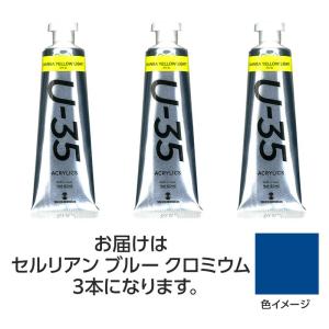 ターナー U35 セルリアンブルークロミウム60...の商品画像
