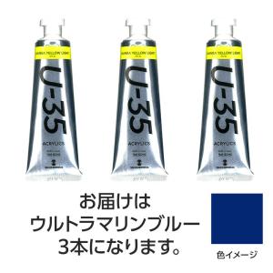 ターナー U35 ウルトラマリンブルー60ml ...の商品画像