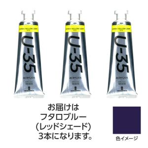 ターナー U35 フタロブルー レッドシェード ...の商品画像