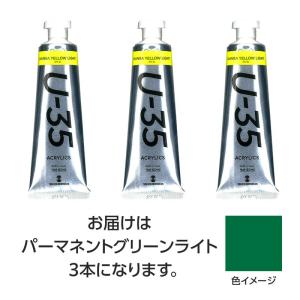 ターナー U35 パーマネントグリーンライト60...の商品画像