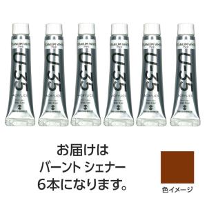 ターナー U35 バーントシェナー11ml 6個...の商品画像