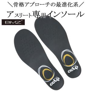 【値下げ相談可能】BMZ カーボンプロスノー70 C-6 新品未使用 BMZ インソール カーボンプロスノー70 C-6 ダークグレー 選べる5サイズ