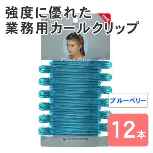 ブルー（ファッション） カールクリップ LL ブルー 青 12個セット ヘア