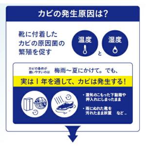 コロンブス レザーキュア カビ用 ミストプラチ...の詳細画像2